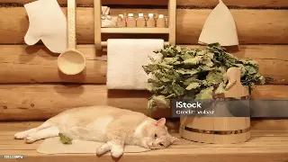 无锡桑拿按摩:掌握专业工具,提升按摩体验 海报