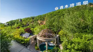 告别双手按摩时代：精油推拿工具的进阶秘籍，让舒适加倍！