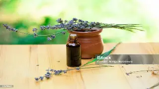 告别亚健康，锡城新宠：深度解析经络按摩焕活身心之道