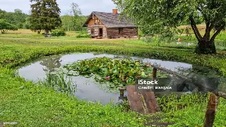 按摩界大地震！深度解析最新养生趋势，告别无效按摩！