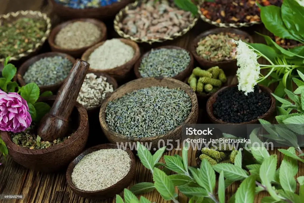 健康生活方式的象征