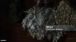 别让“累”偷走你的健康！给不同人群的专属养生秘籍